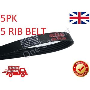 5PK870 Multi Ribbed Drive Belt For Daewoo, Ford, Land Rover, MG, Renault, Rover