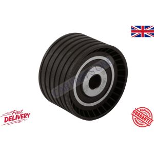 Timing Belt Guide Pulley Renault Clio Fluence Kangoo Laguna Megane Modus Trafic
